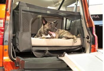 honda-element-dog-friendly2